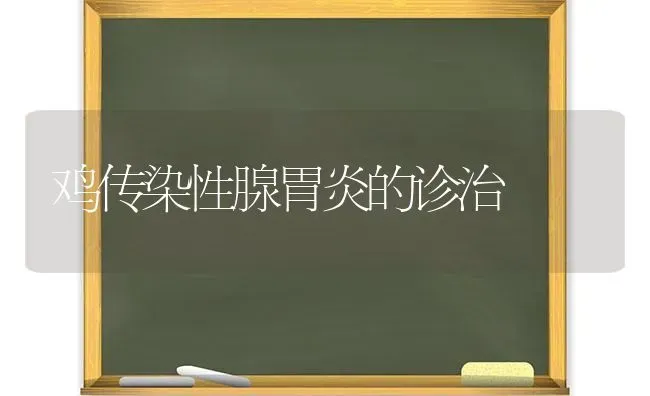 鸡传染性腺胃炎的诊治 | 家禽养殖