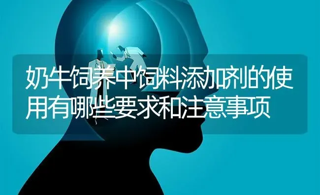 奶牛饲养中饲料添加剂的使用有哪些要求和注意事项 | 动物养殖饲料