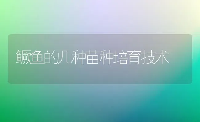 鳜鱼的几种苗种培育技术 | 淡水养殖