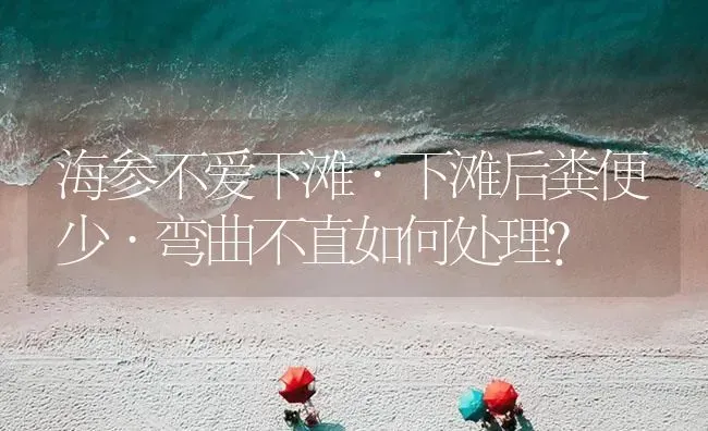 海参不爱下滩·下滩后粪便少·弯曲不直如何处理？ | 海水养殖