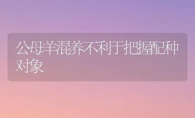 公母羊混养不利于把握配种对象 | 家畜养殖