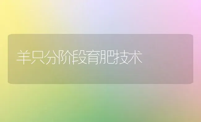 羊只分阶段育肥技术 | 家畜养殖