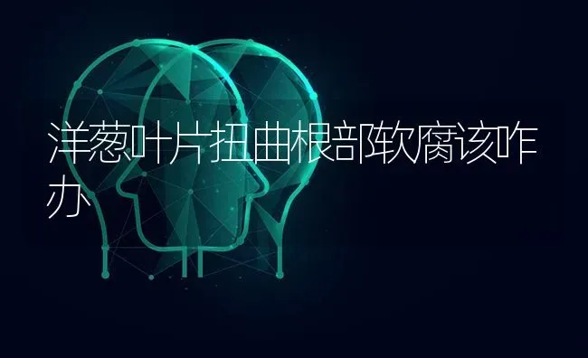放牧肉羊要不要补充食盐 | 家畜养殖