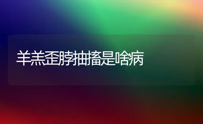 羊羔歪脖抽搐是啥病 | 家畜养殖