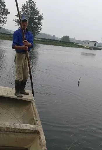成功处理大闸蟹养殖塘水浑和蓝藻一例