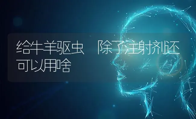 给牛羊驱虫 除了注射剂还可以用啥 | 家畜养殖