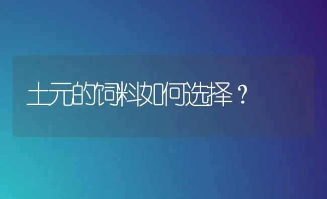 土元的饲料如何选择？ | 动物养殖饲料