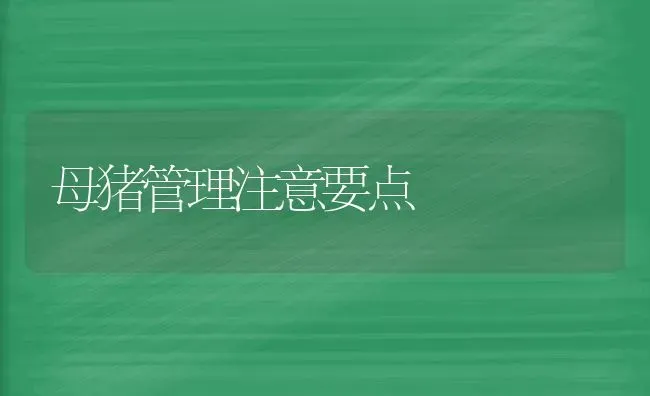 母猪管理注意要点 | 家畜养殖