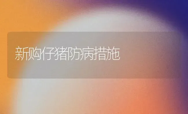 新购仔猪防病措施 | 家畜养殖