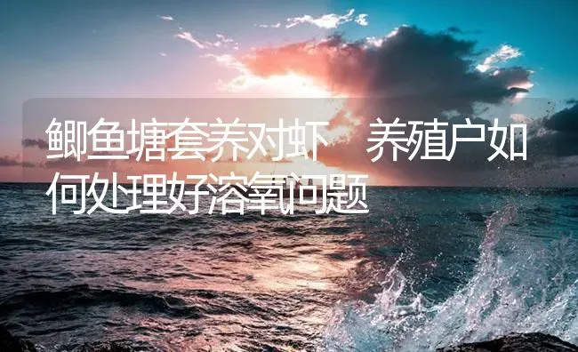 鲫鱼塘套养对虾 养殖户如何处理好溶氧问题 | 海水养殖