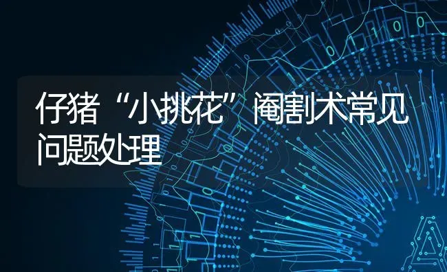 仔猪“小挑花”阉割术常见问题处理 | 家畜养殖
