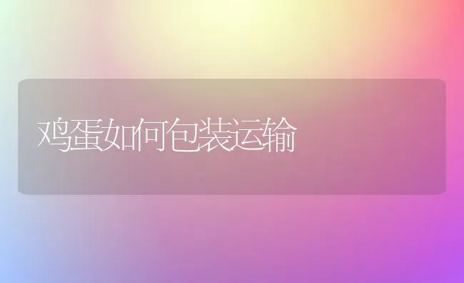 鸡蛋如何包装运输 | 家禽养殖