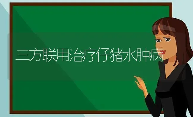 三方联用治疗仔猪水肿病 | 家畜养殖