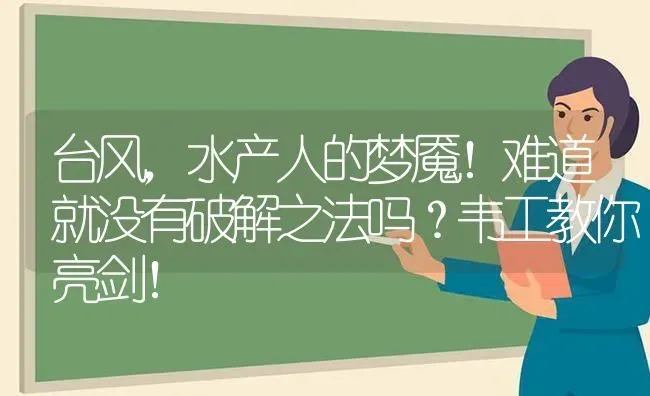 台风，水产人的梦魇！难道就没有破解之法吗？韦工教你亮剑！ | 动物养殖百科