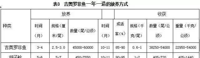 吉奥罗非鱼健康养殖技术