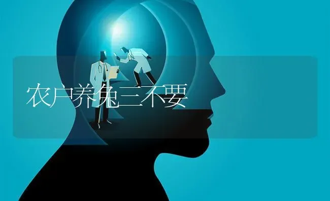 农户养兔三不要 | 家畜养殖