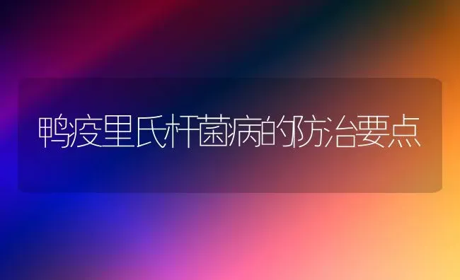 鸭疫里氏杆菌病的防治要点 | 家禽养殖