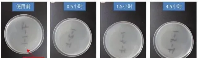 【灾后重建之消毒篇】下雨过后，您的池塘干净了吗