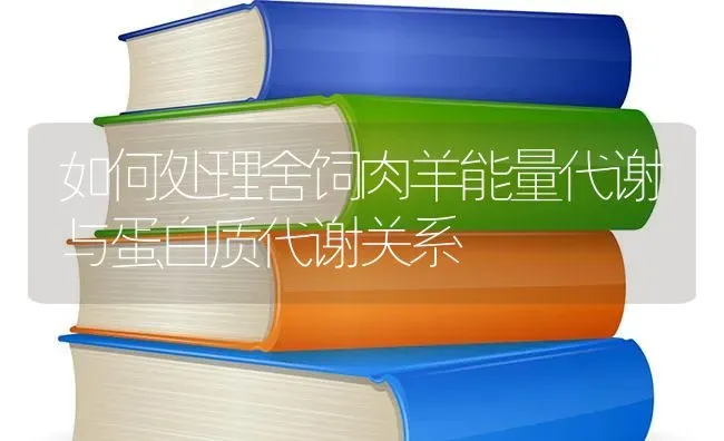 如何处理舍饲肉羊能量代谢与蛋白质代谢关系 | 家畜养殖