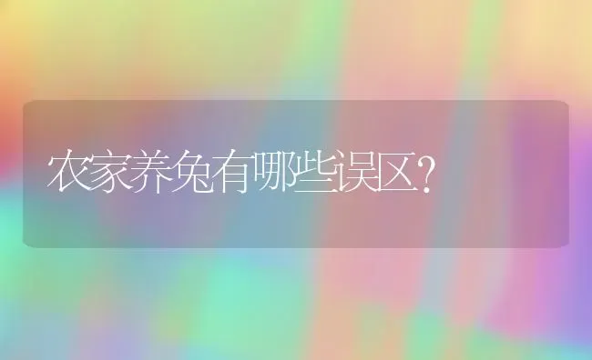 农家养兔有哪些误区？ | 家畜养殖