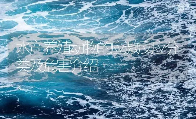 水产养殖动物的应激反应分类及危害介绍 | 养殖病虫害防治