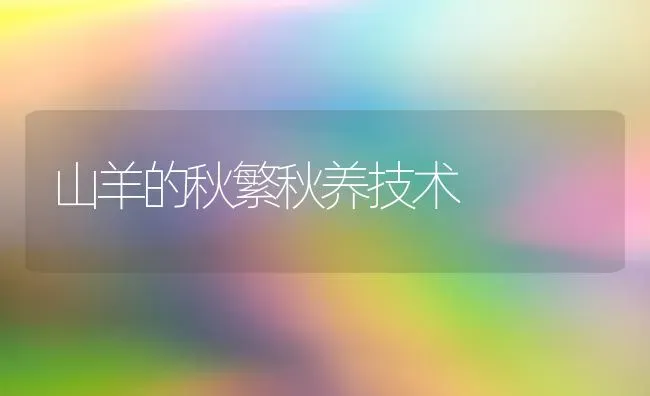 山羊的秋繁秋养技术 | 家畜养殖