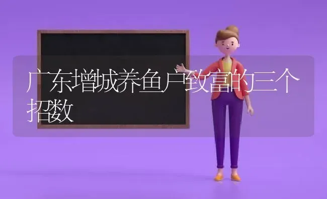 广东增城养鱼户致富的三个招数 | 动物养殖百科