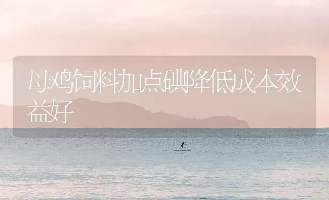 母鸡饲料加点碘降低成本效益好 | 家禽养殖