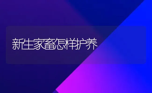 新生家畜怎样护养 | 家畜养殖