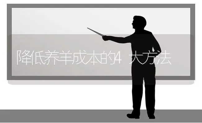 降低养羊成本的4大方法 | 家畜养殖