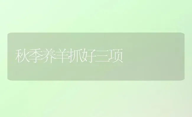 秋季养羊抓好三项 | 家畜养殖