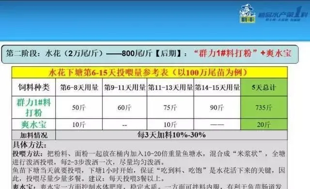 塘鲺标苗现状与难点、塘鲺鱼标苗技术与关键点