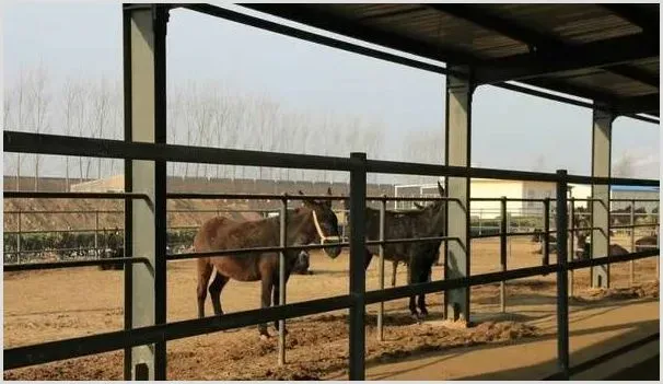 养驴如何驱虫?养驴的驱虫方法介绍 | 养殖疾病大全