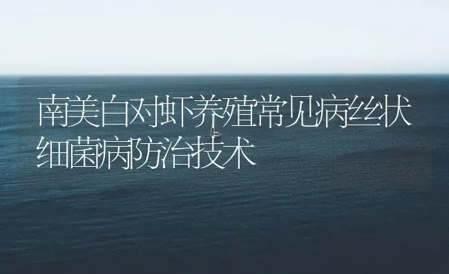 南美白对虾养殖常见病丝状细菌病防治技术 | 海水养殖