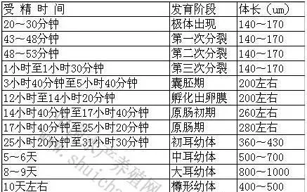 海参养殖概述之刺参的生物学特点及个体发育介绍