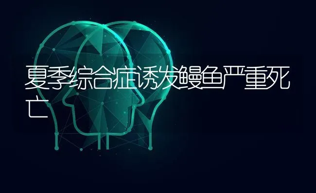 夏季综合症诱发鳗鱼严重死亡 | 淡水养殖