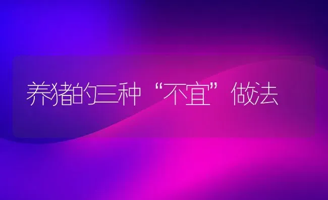 养猪的三种“不宜”做法 | 家畜养殖