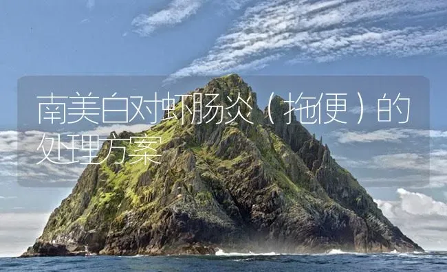 南美白对虾肠炎（拖便）的处理方案 | 海水养殖