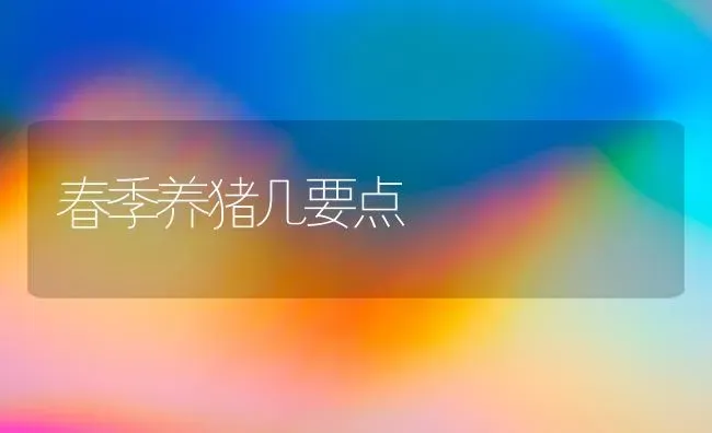 春季养猪几要点 | 家畜养殖