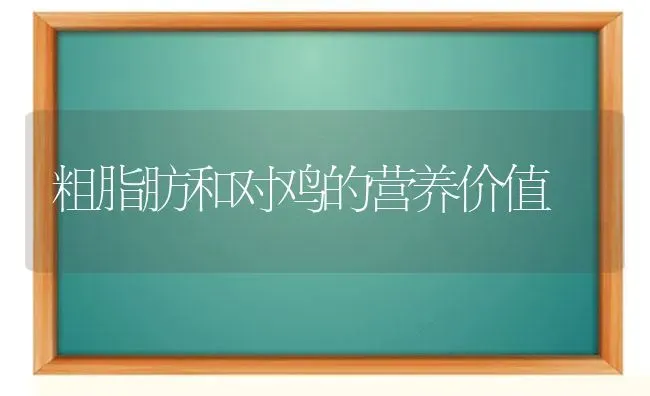 粗脂肪和对鸡的营养价值 | 家禽养殖