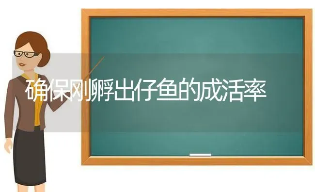 确保刚孵出仔鱼的成活率 | 淡水养殖