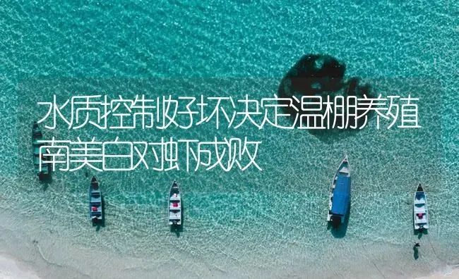 水质控制好坏决定温棚养殖南美白对虾成败 | 海水养殖