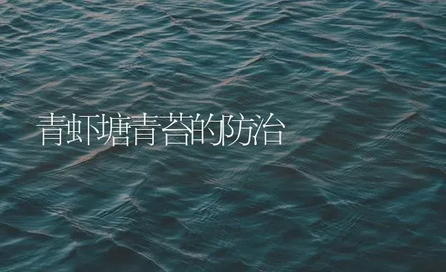 青虾塘青苔的防治 | 海水养殖