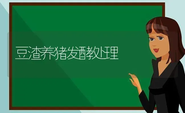 豆渣养猪发酵处理 | 家畜养殖