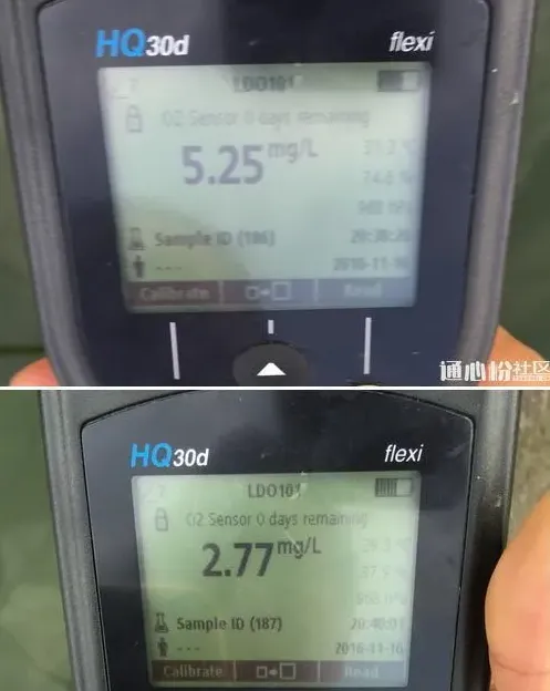 两个水库的草鱼青鱼同时发病，您用药合理了吗？