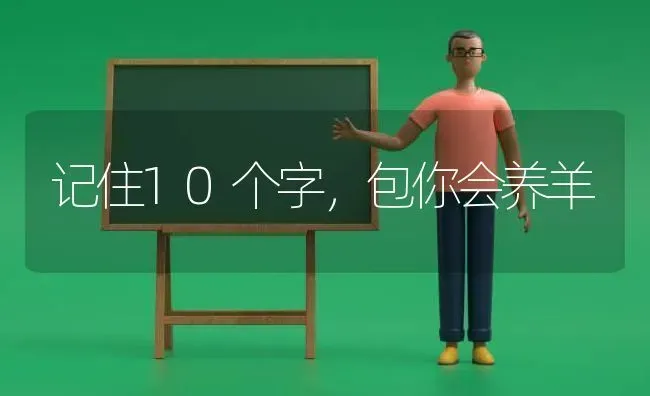 记住10个字，包你会养羊 | 家畜养殖