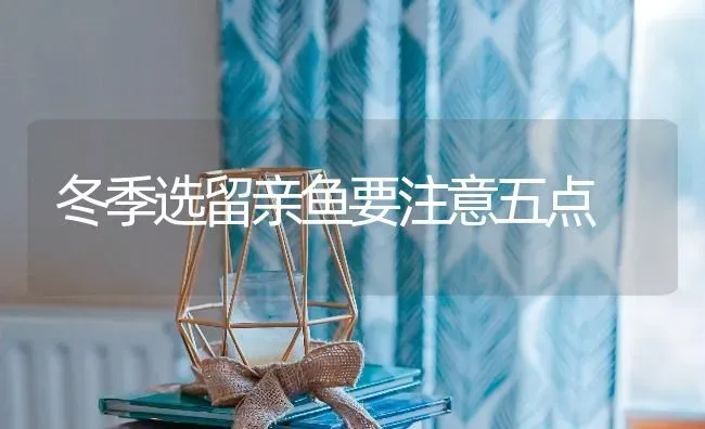 冬季选留亲鱼要注意五点 | 淡水养殖