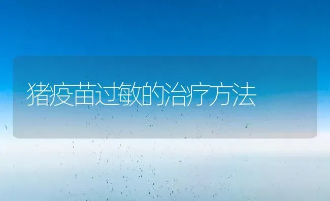 猪疫苗过敏的治疗方法 | 家畜养殖