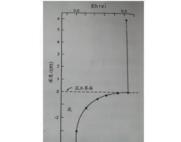 养殖水体的氧化还原状态与有机物的氧化分解