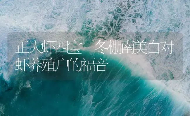 正大虾四宝-冬棚南美白对虾养殖户的福音 | 海水养殖